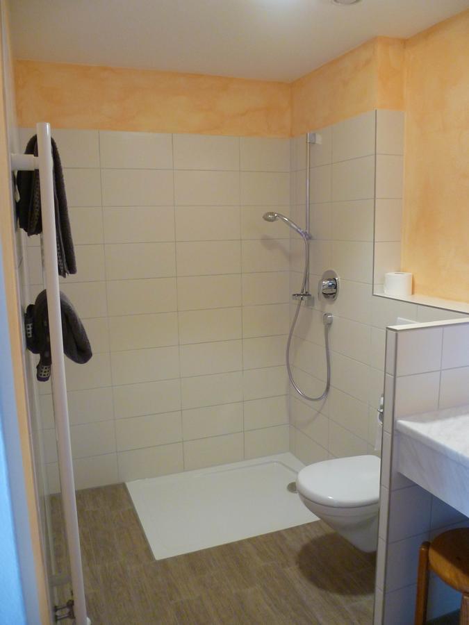 Gasthaus Storchen Waldshut-Tiengen Dış mekan fotoğraf
